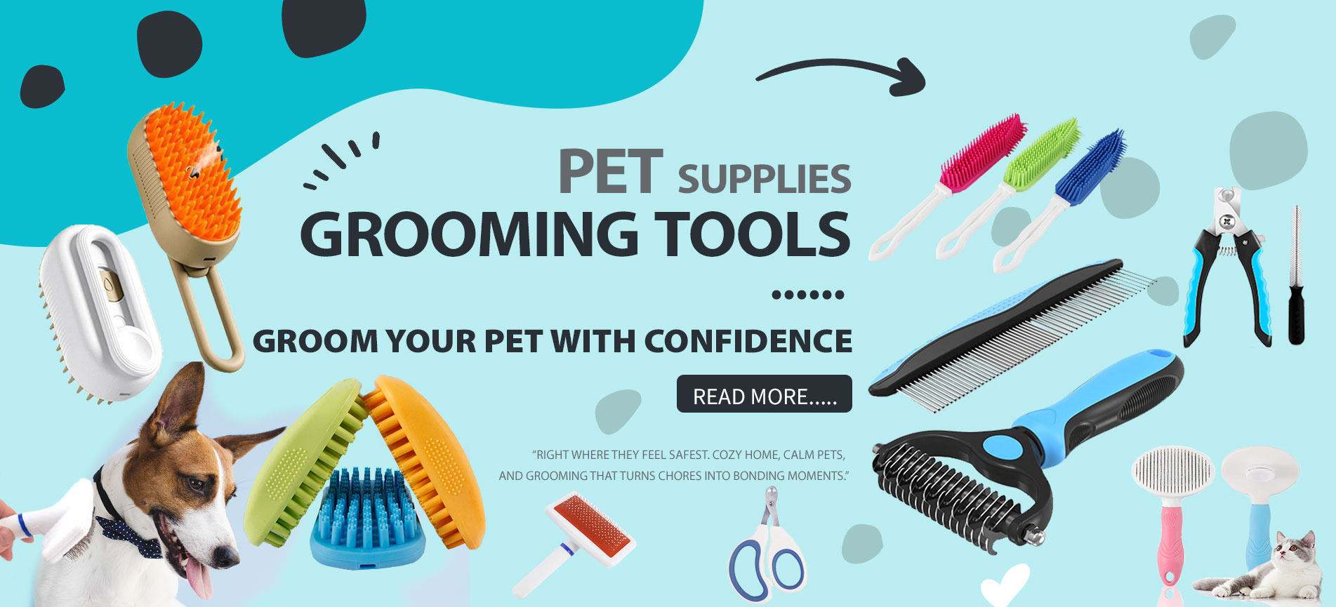 outils de toilettage pour animaux de compagnie