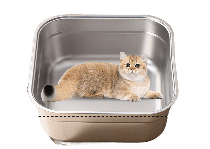 Comment choisir la meilleure litière pour votre chat