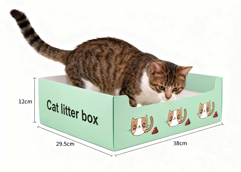 Nouveau choix de bacs à litière pour chats : pratique, écologique et respectueux des animaux