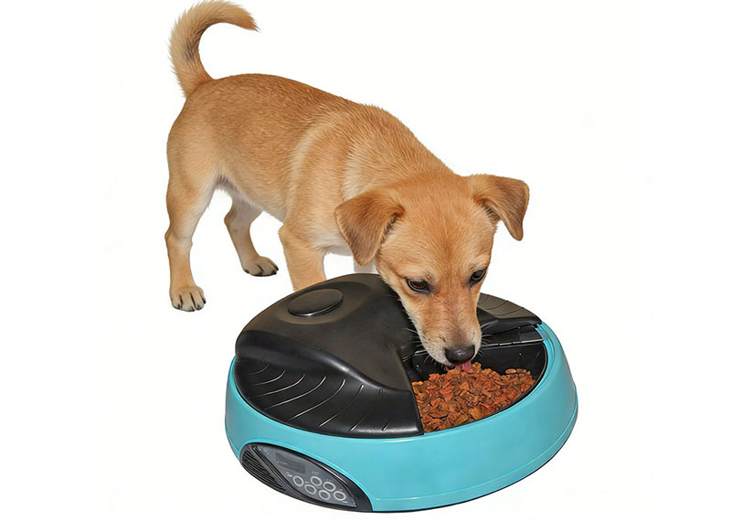 Distributeur intelligent - Pour des repas plus pratiques