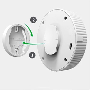 cat litter deodorizer for home