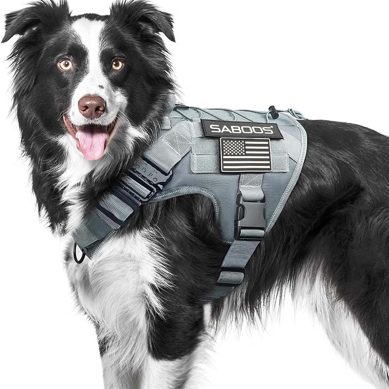 Adjustable dog harness