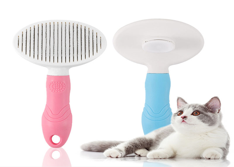 Comment les produits de nettoyage intelligents pour animaux de compagnie transforment les soins aux animaux — et pourquoi votre ami à quatre pattes vous en remerciera