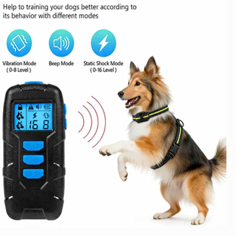 dog training collar