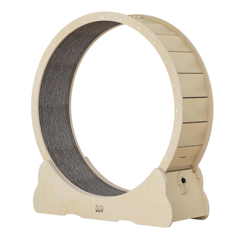 cat exercise wheel indoor cat exercise wheel indoor