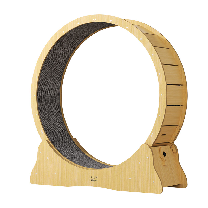 cat exercise wheel